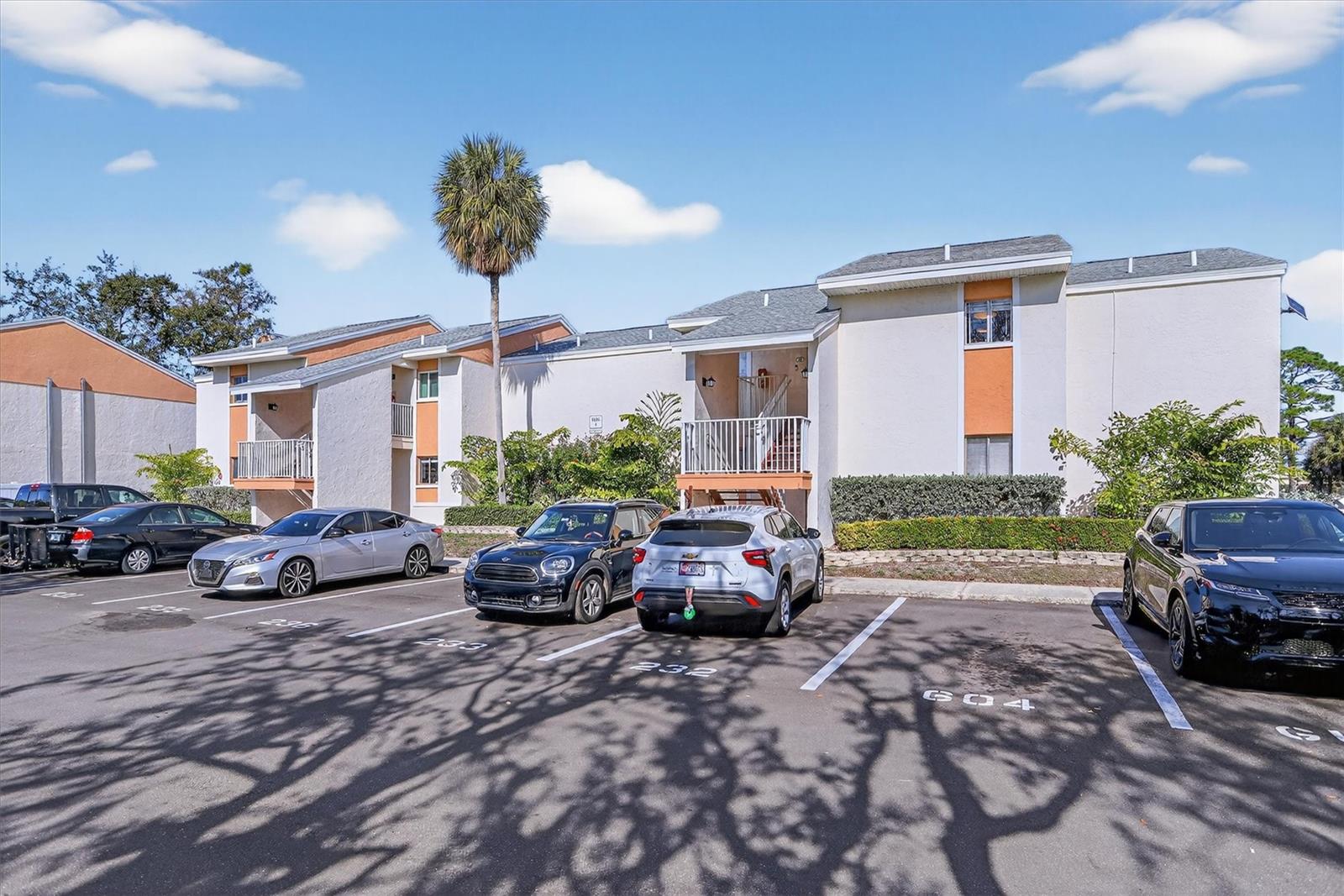 Only 10 Mins From Tampa & Only 7 Mins From Downtown St Petersburg