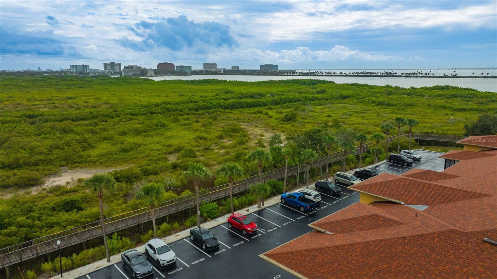 View of downtown Tampa