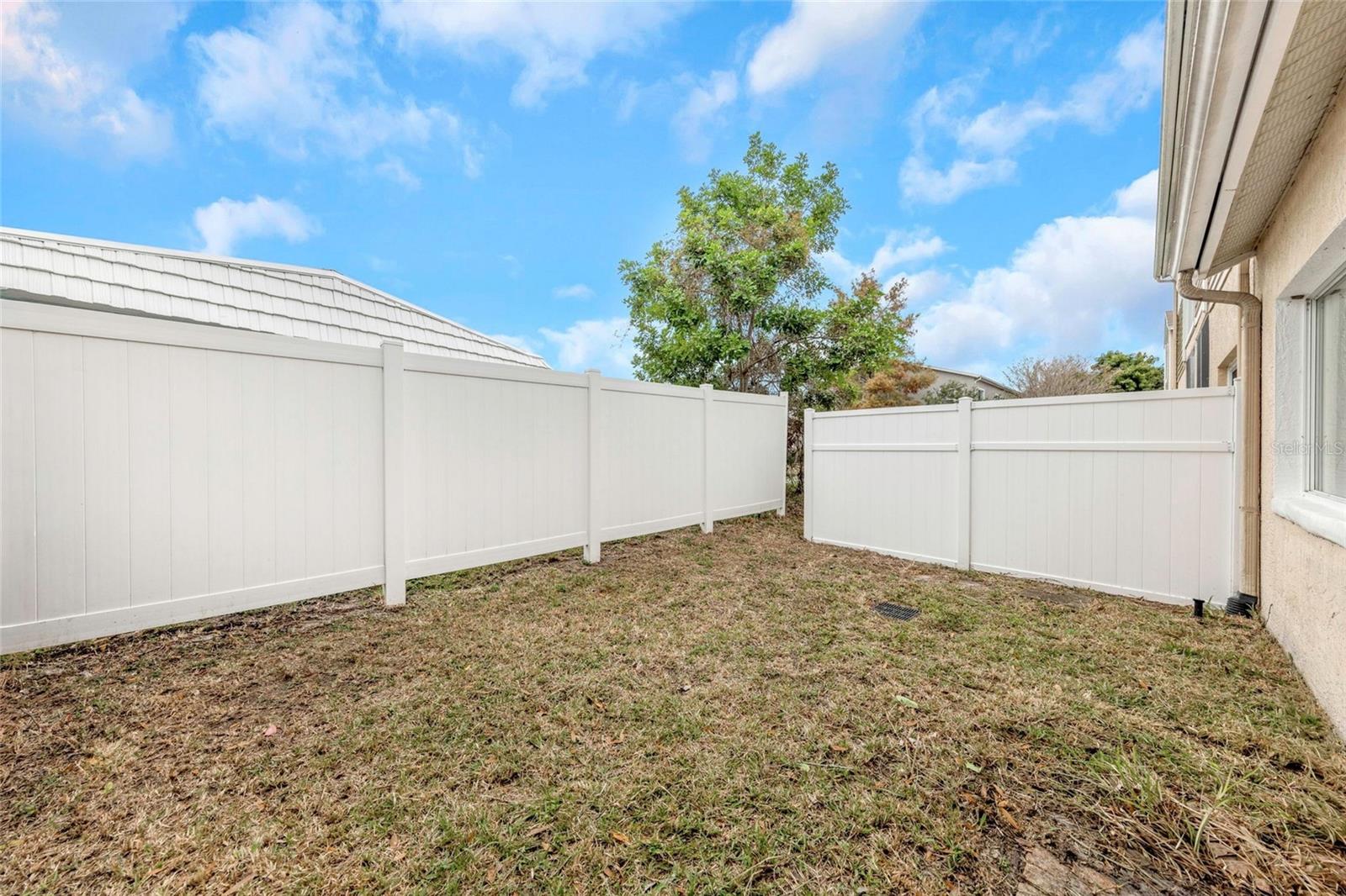 Rear Yard - Reverse View