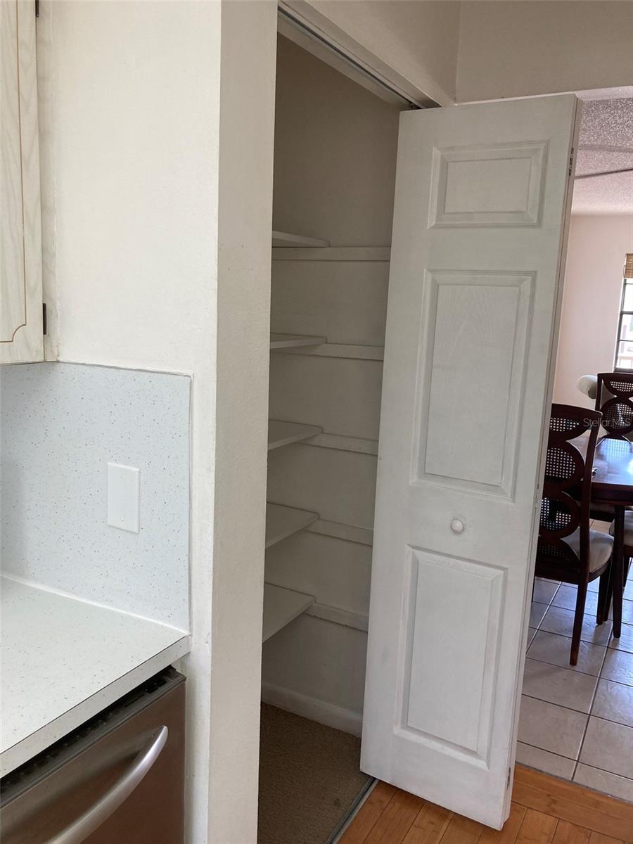 Pantry in the kitchen