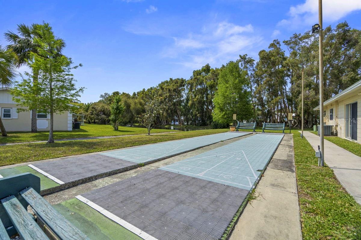 Shuffleboard Anyone?
