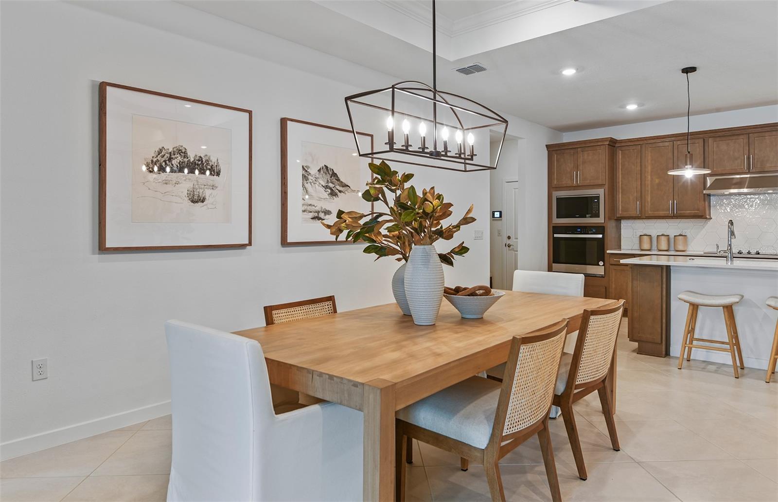 Model Representation