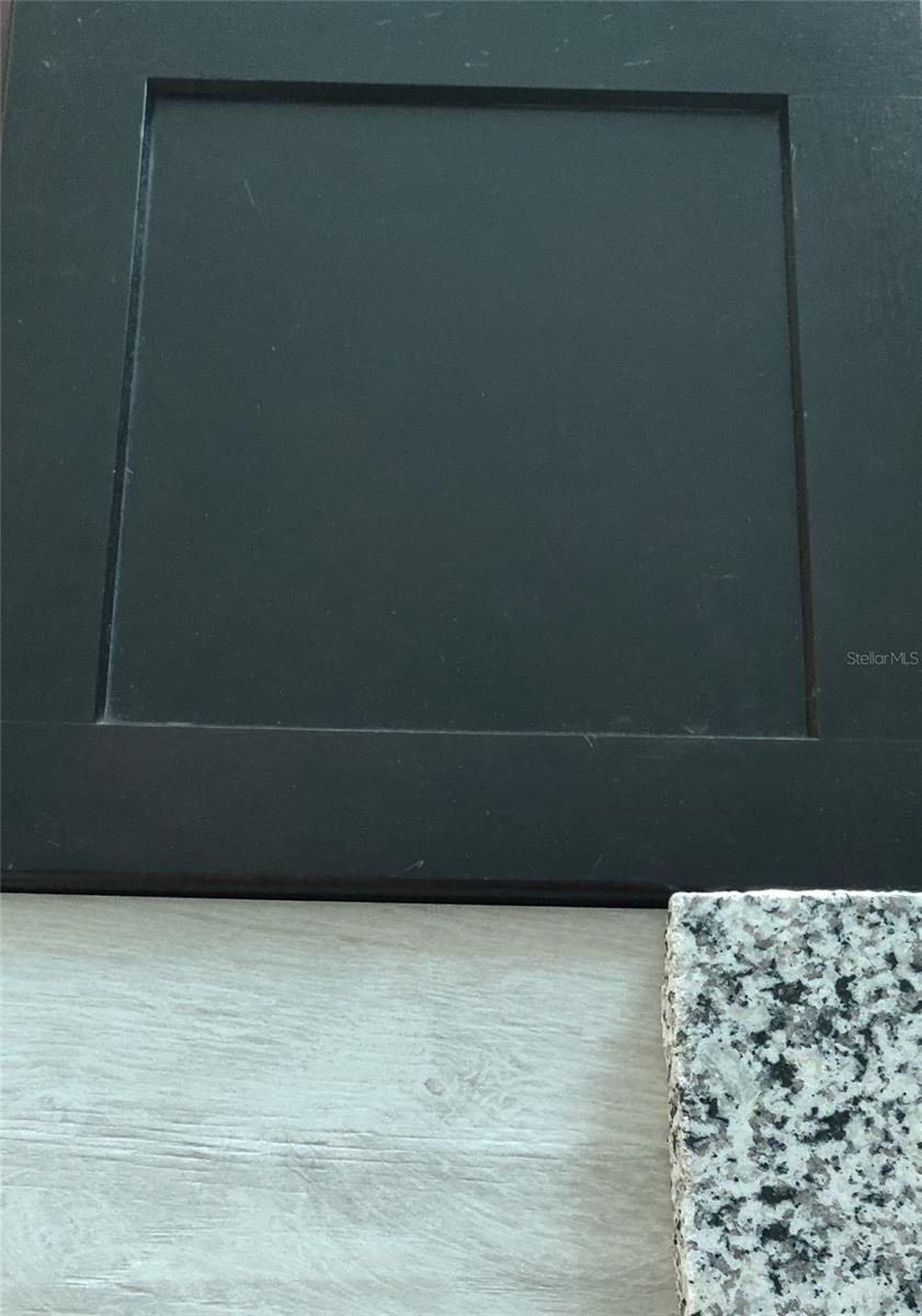 Interior Color Scheme