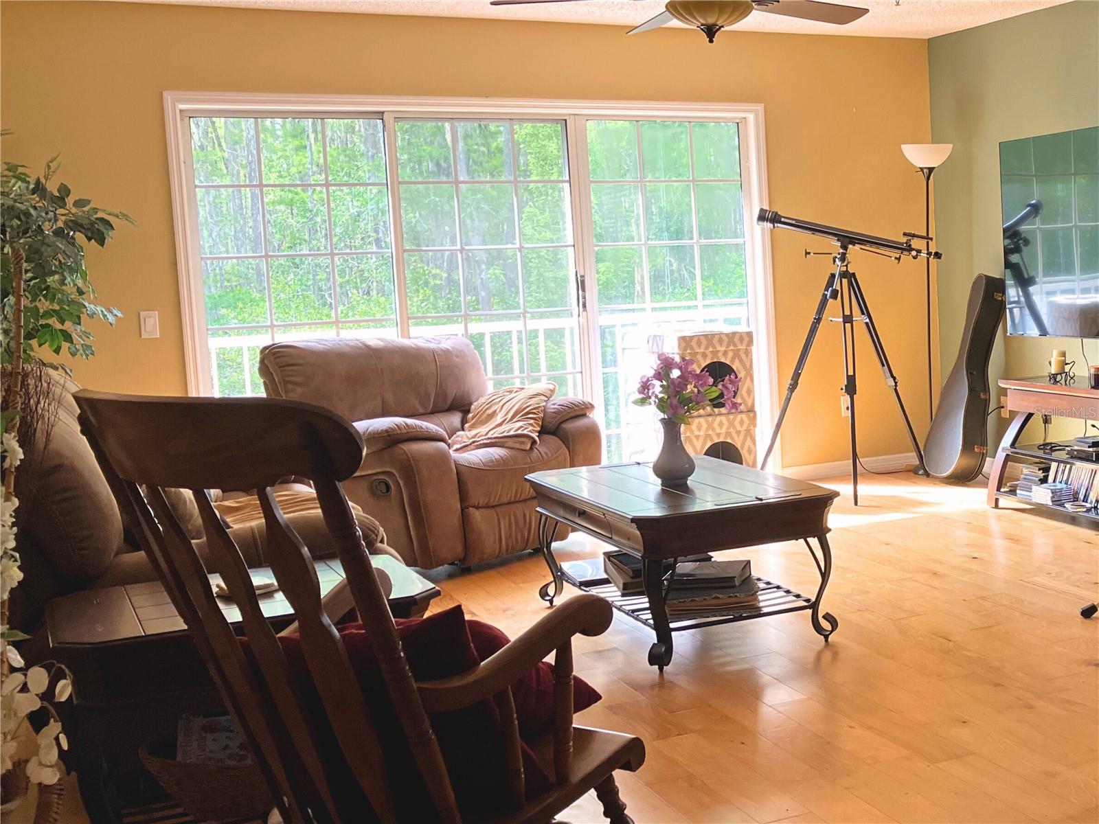 Lots of light in the Great Room