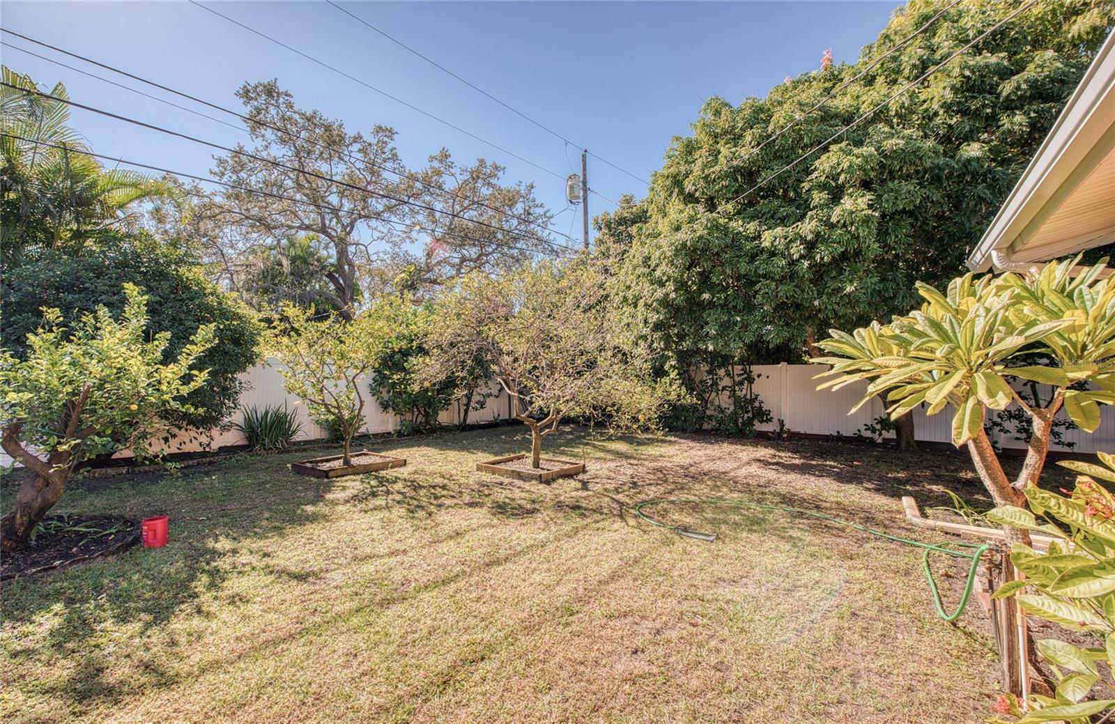 Backyard offers fruit trees: orange and lemon trees