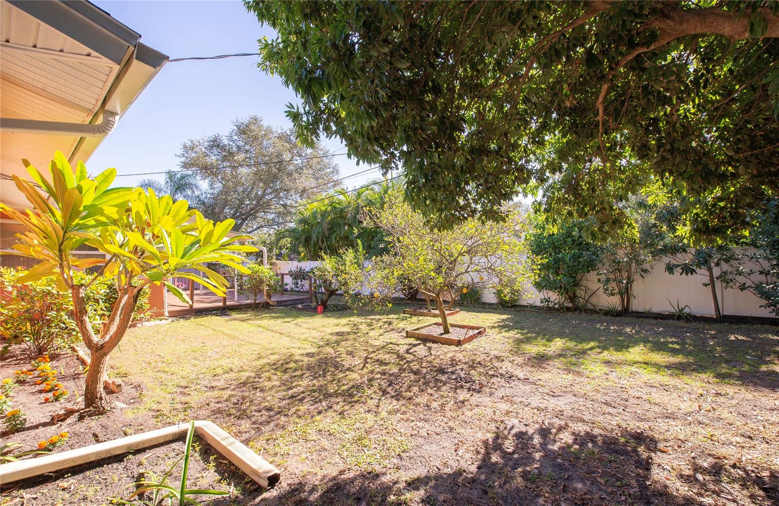 Side of the house/yard