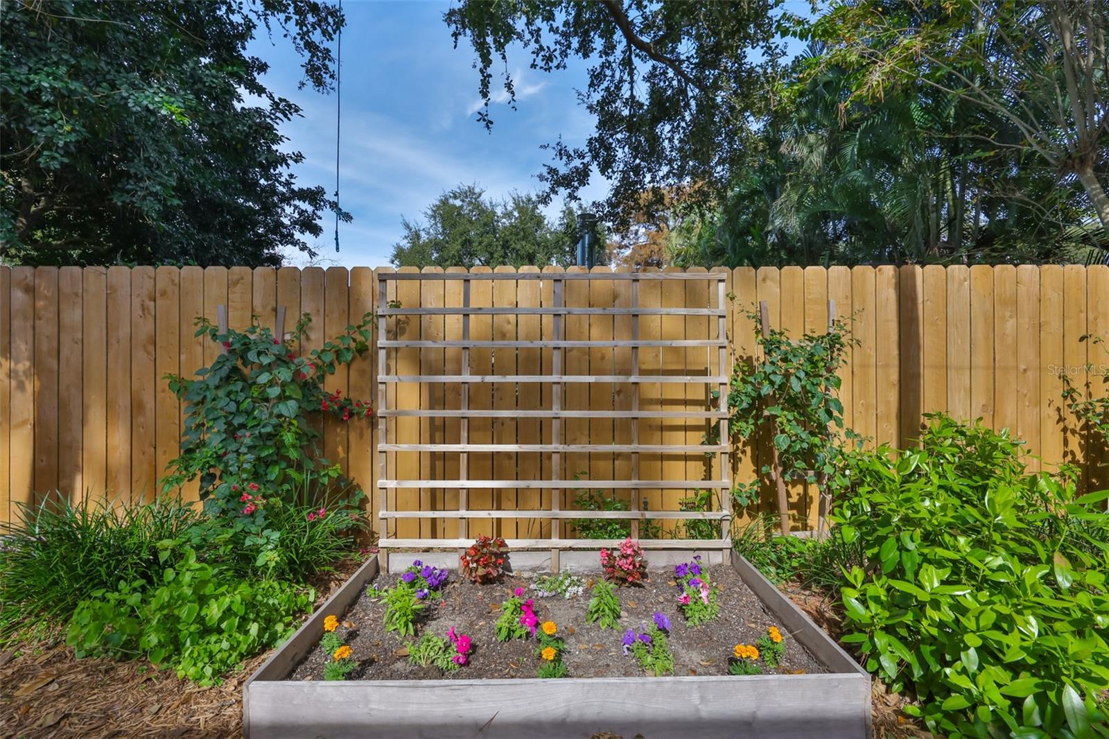 Backyard behind workshop/garage