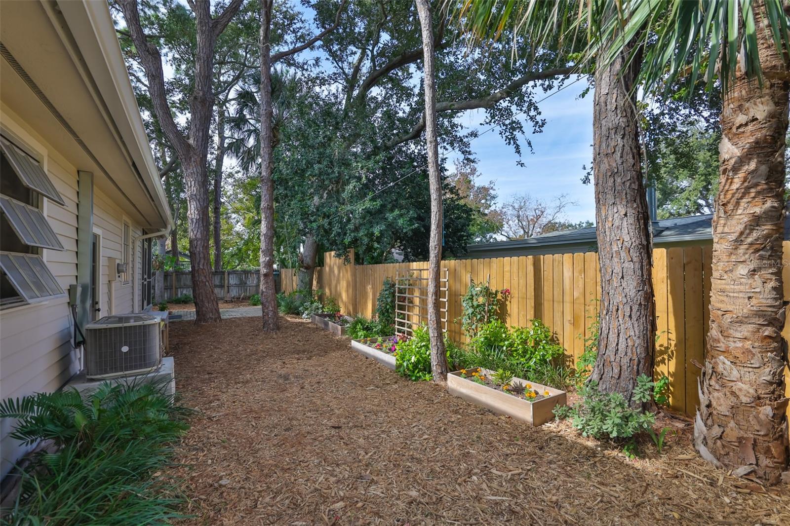 Backyard behind workshop/garage