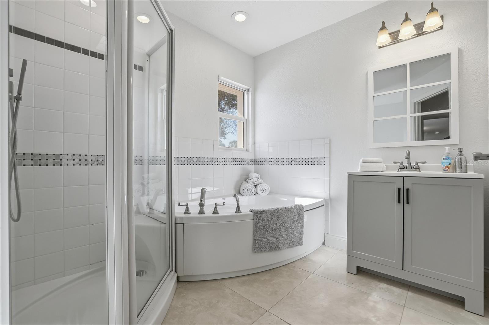 Bathroom, Single Vanity, Walk-In Tub and Shower