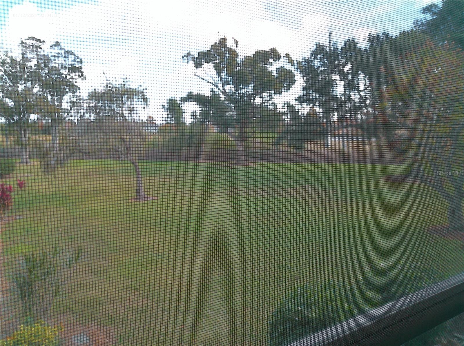 The view from your Sunroom.