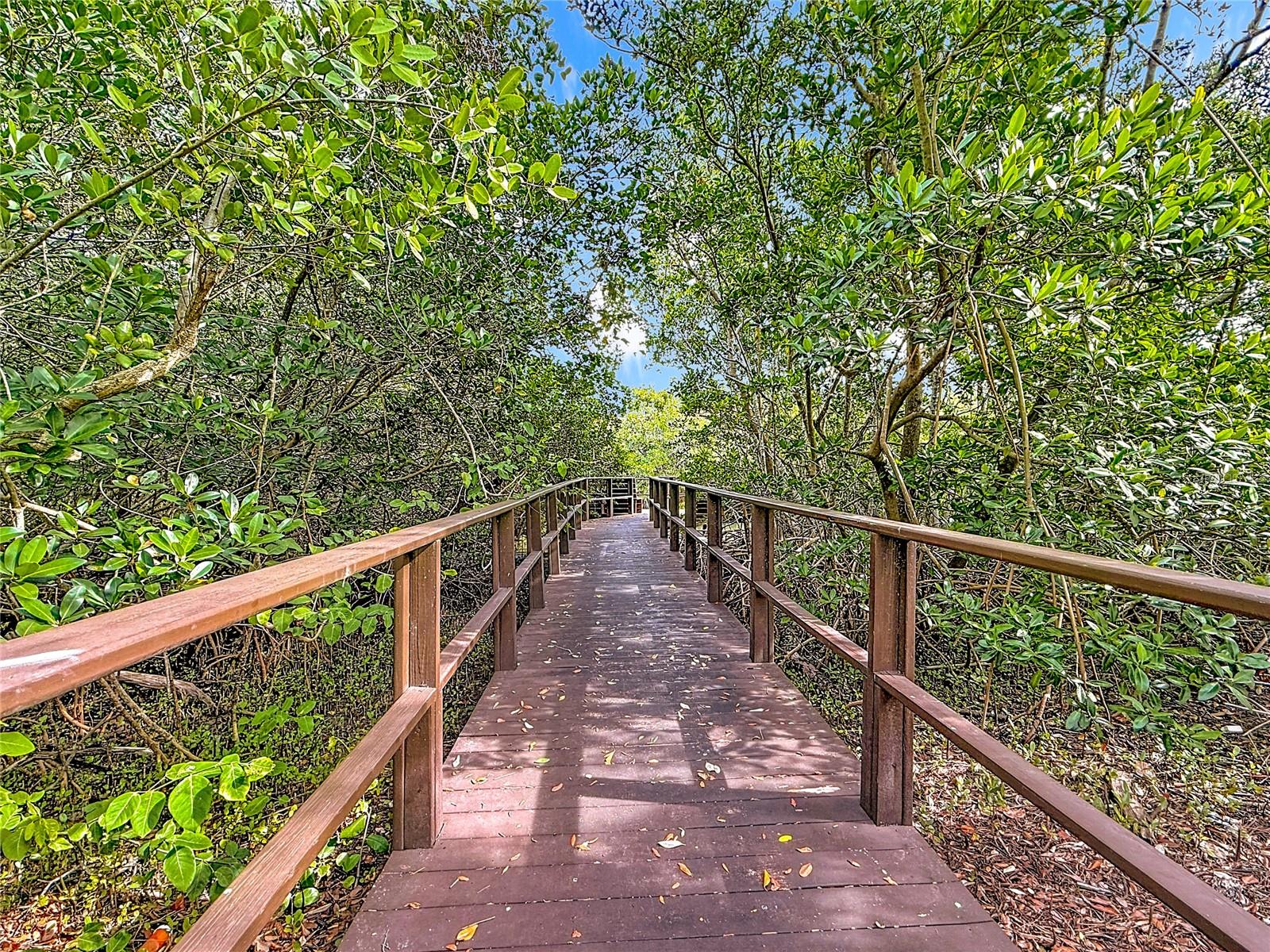 502 Bough Ave - Eastwood Shores community boardwalk