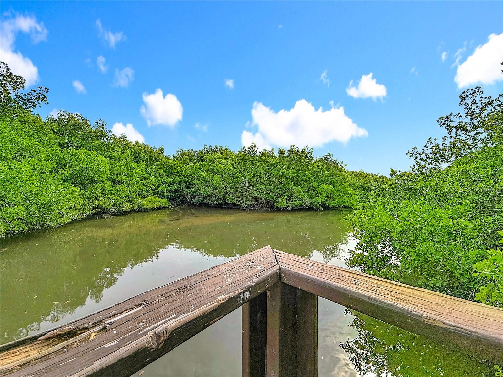 502 Bough Ave - Eastwood Shores, Clearwater, view from community boardwalk
