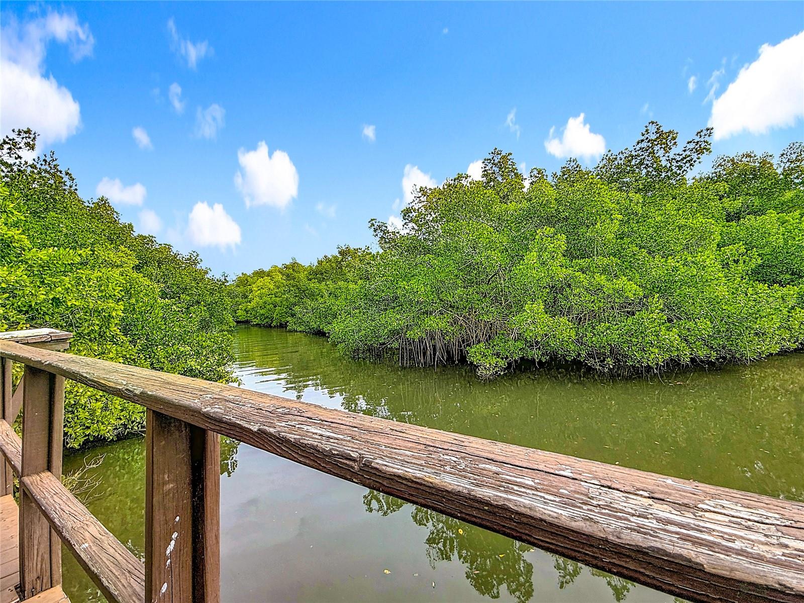 502 Bough Ave - view from community boardwalk