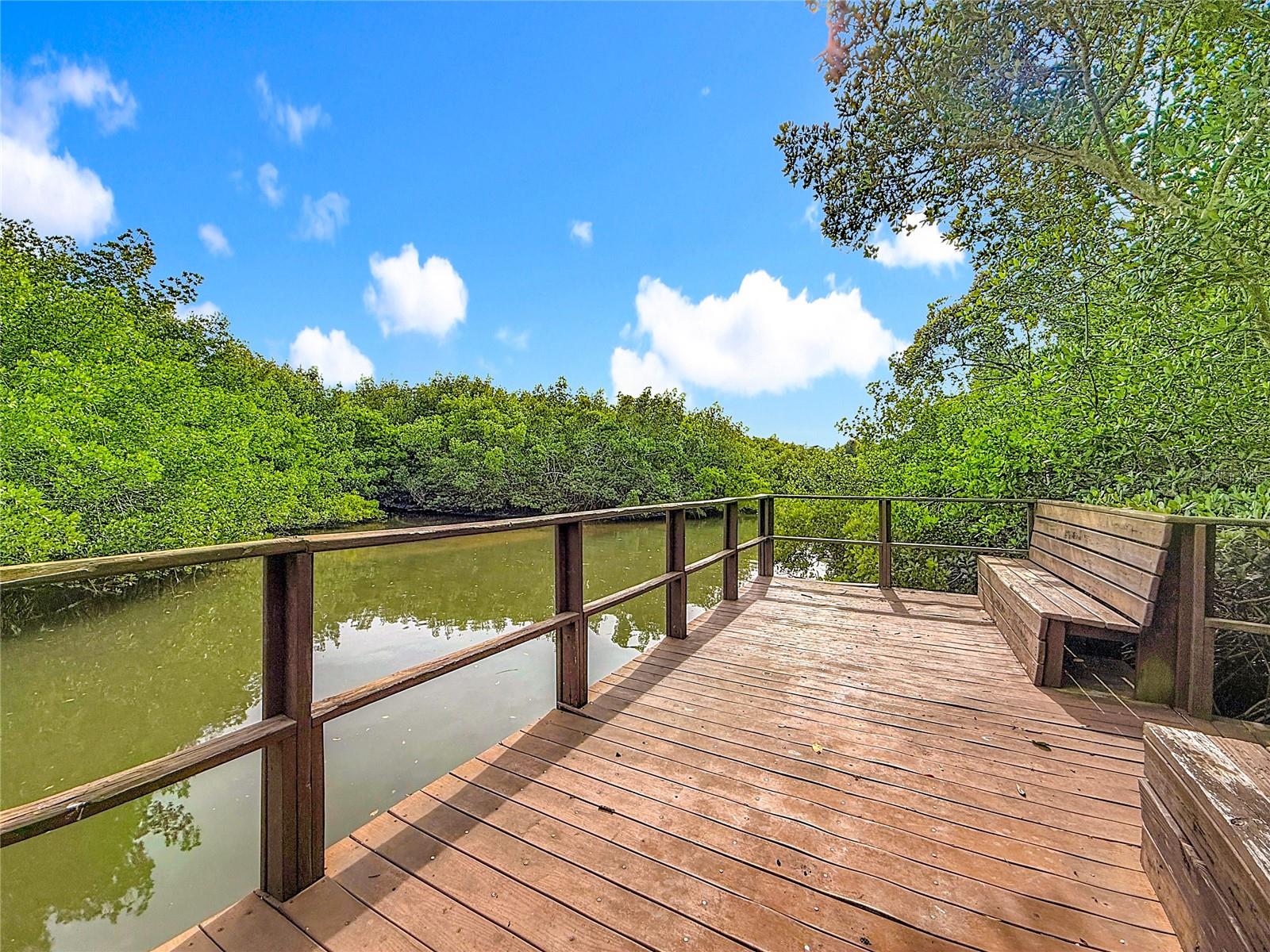 502 Bough Ave - view from community boardwalk