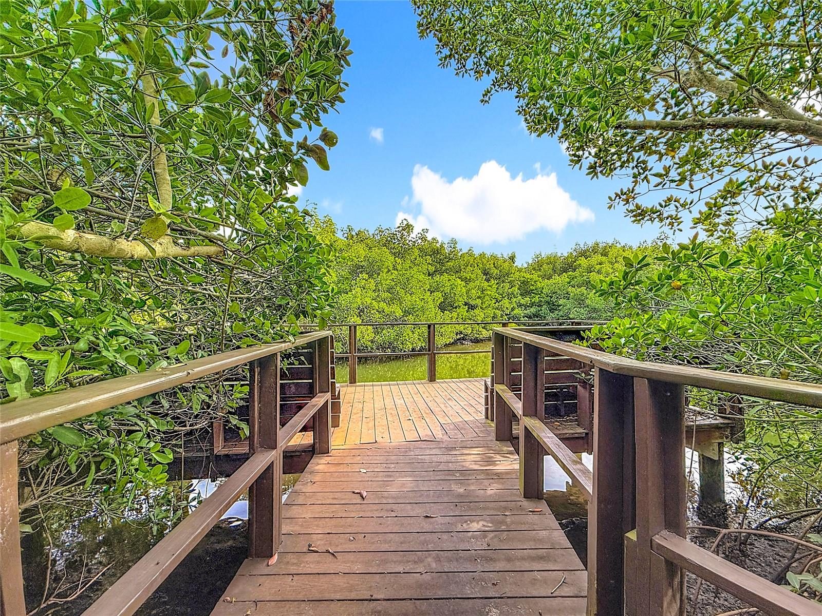 502 Bough Ave - community boardwalk