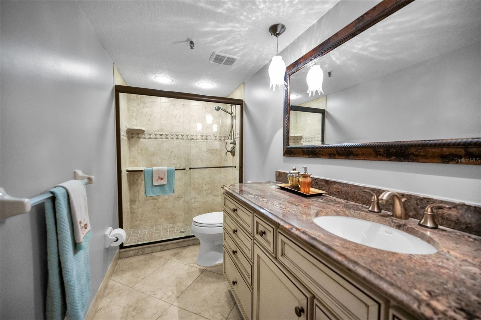 .. Updated Guest Bathroom. 12.4  X 5.6  Walk In Shower - Upscale Cabinetry - Granite -
