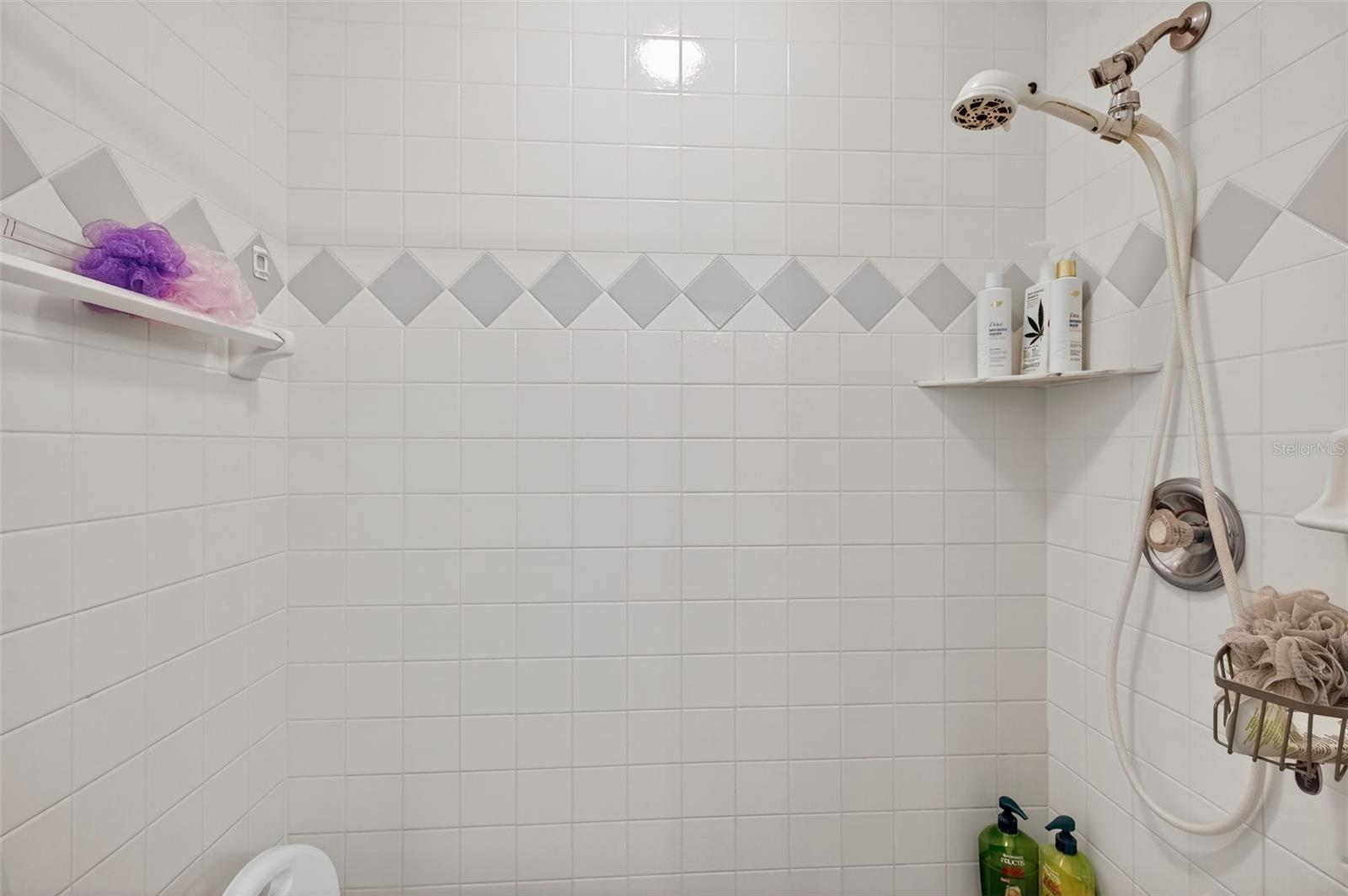 Walk-in shower in the primary bathroom