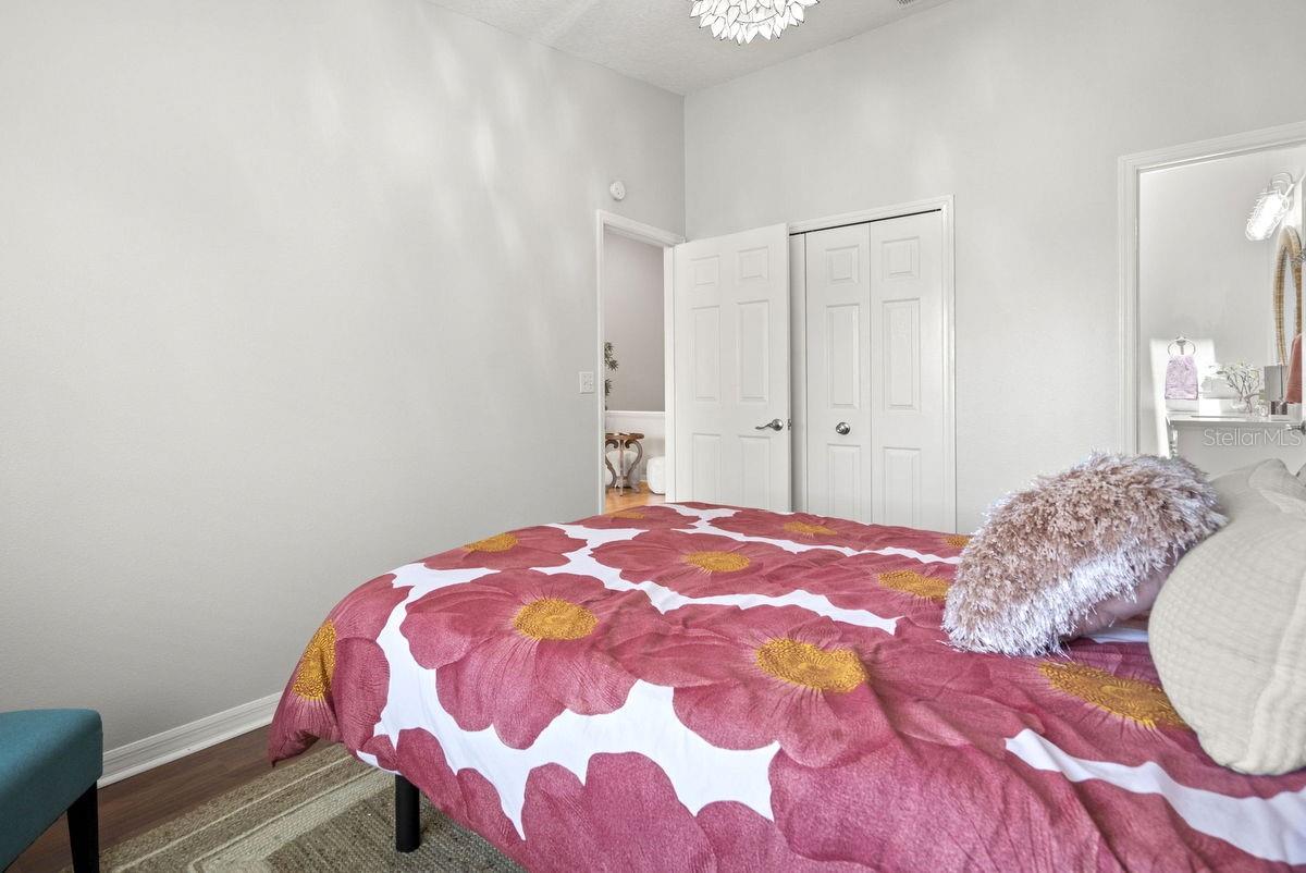 Guest Entry - Closet