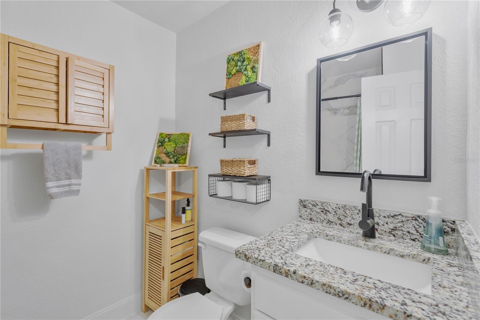 Another view the of the guest bath