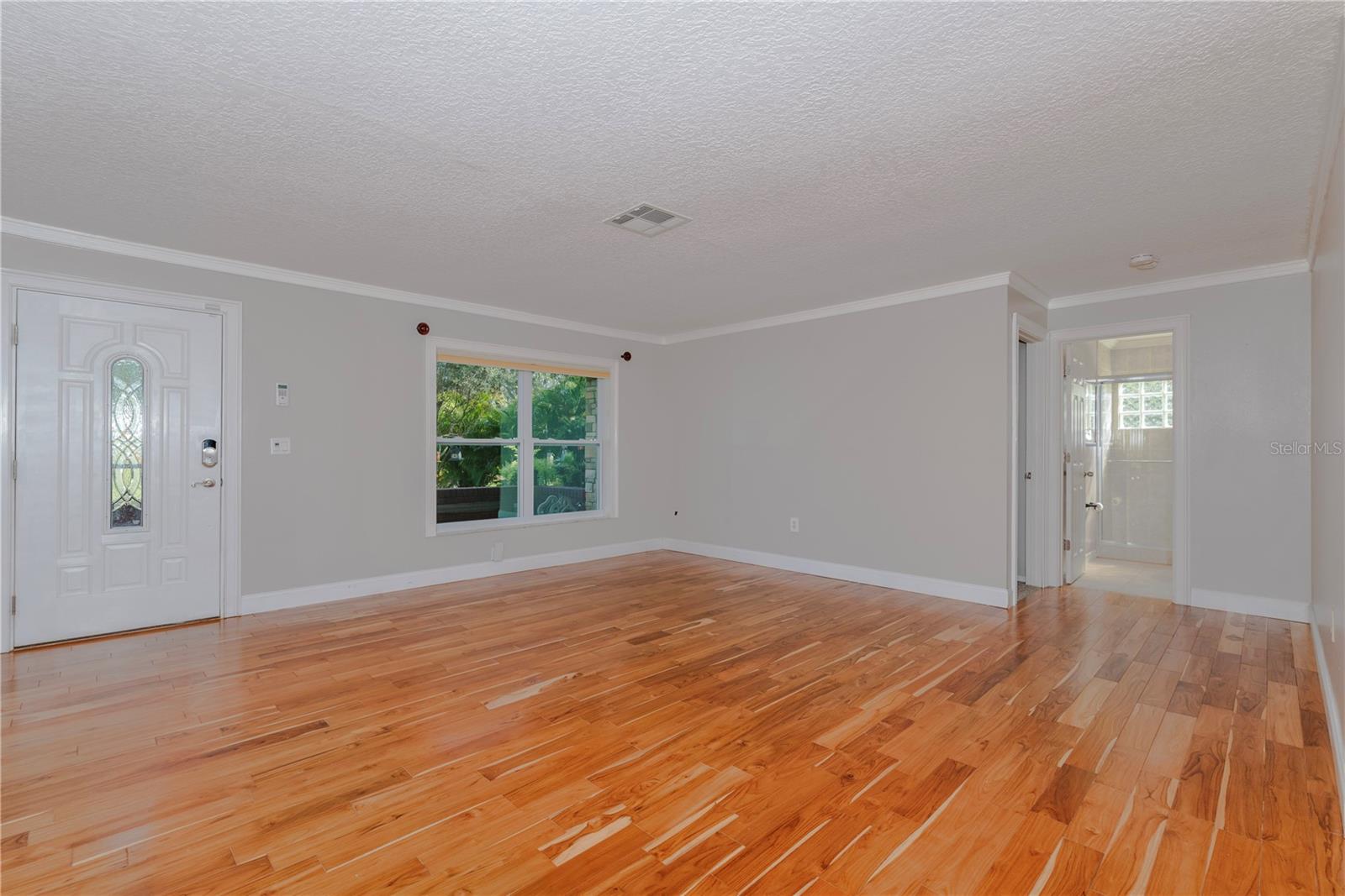 Living room and front entry.