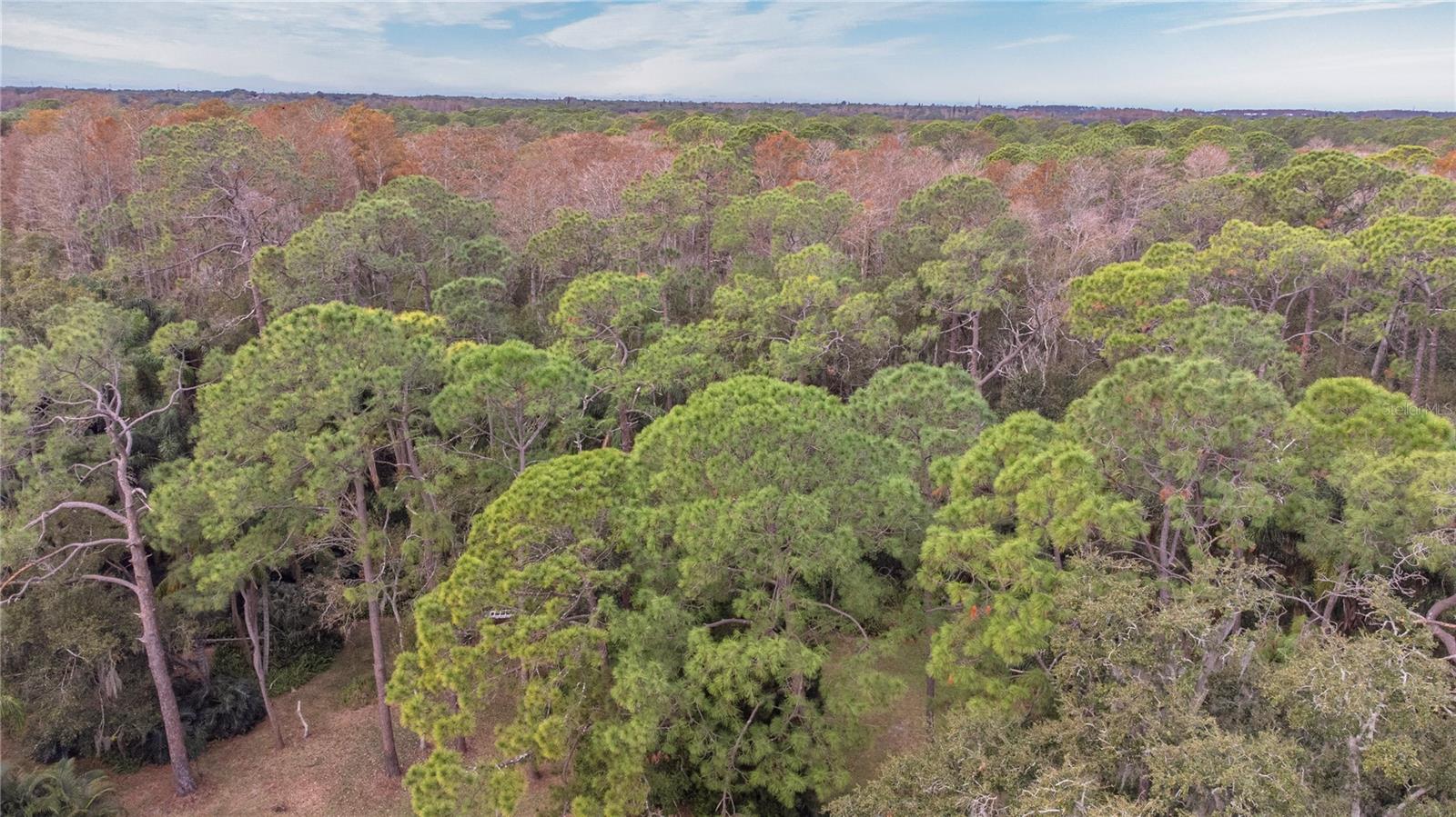 Conservation and greenbelt behind the property - no rear neighbors!