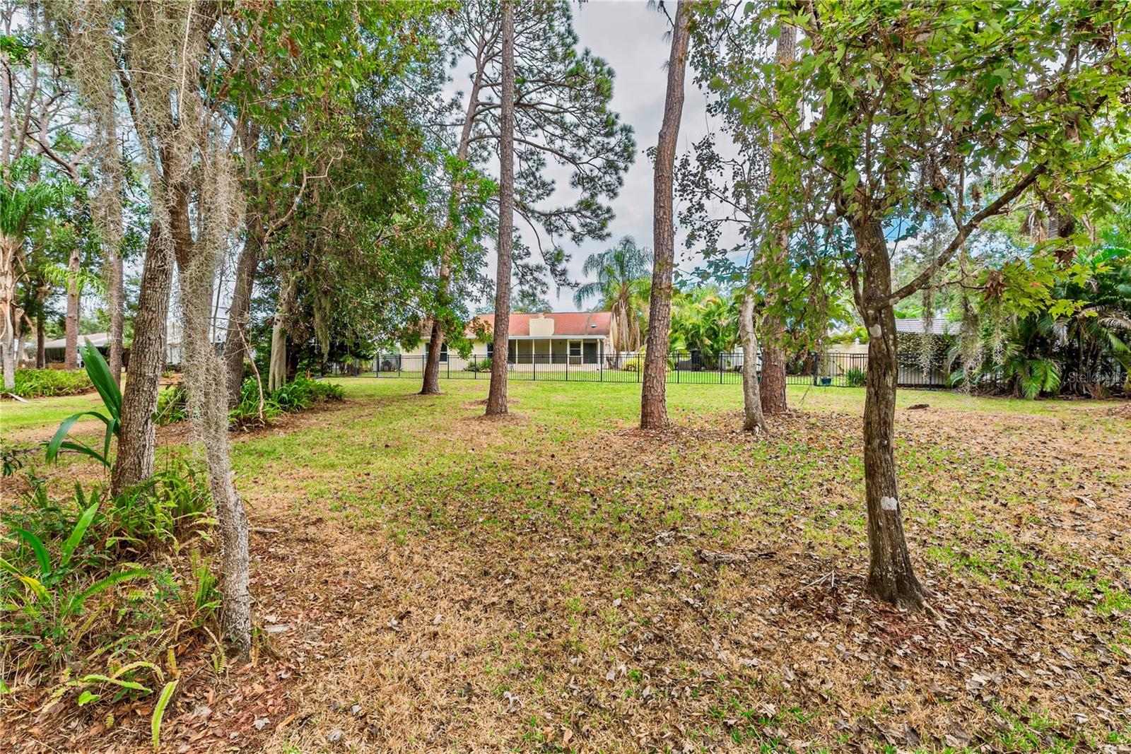 Greenbelt behind the property.