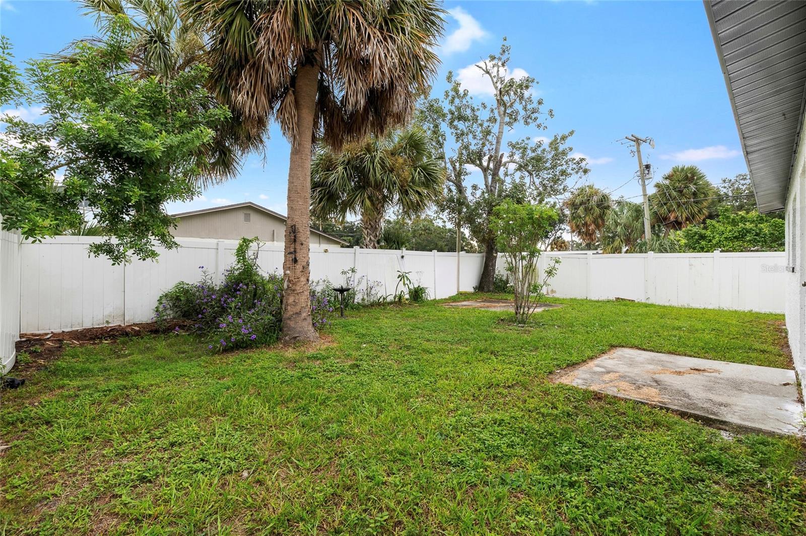 Huge Backyard with Vinyl Fencing