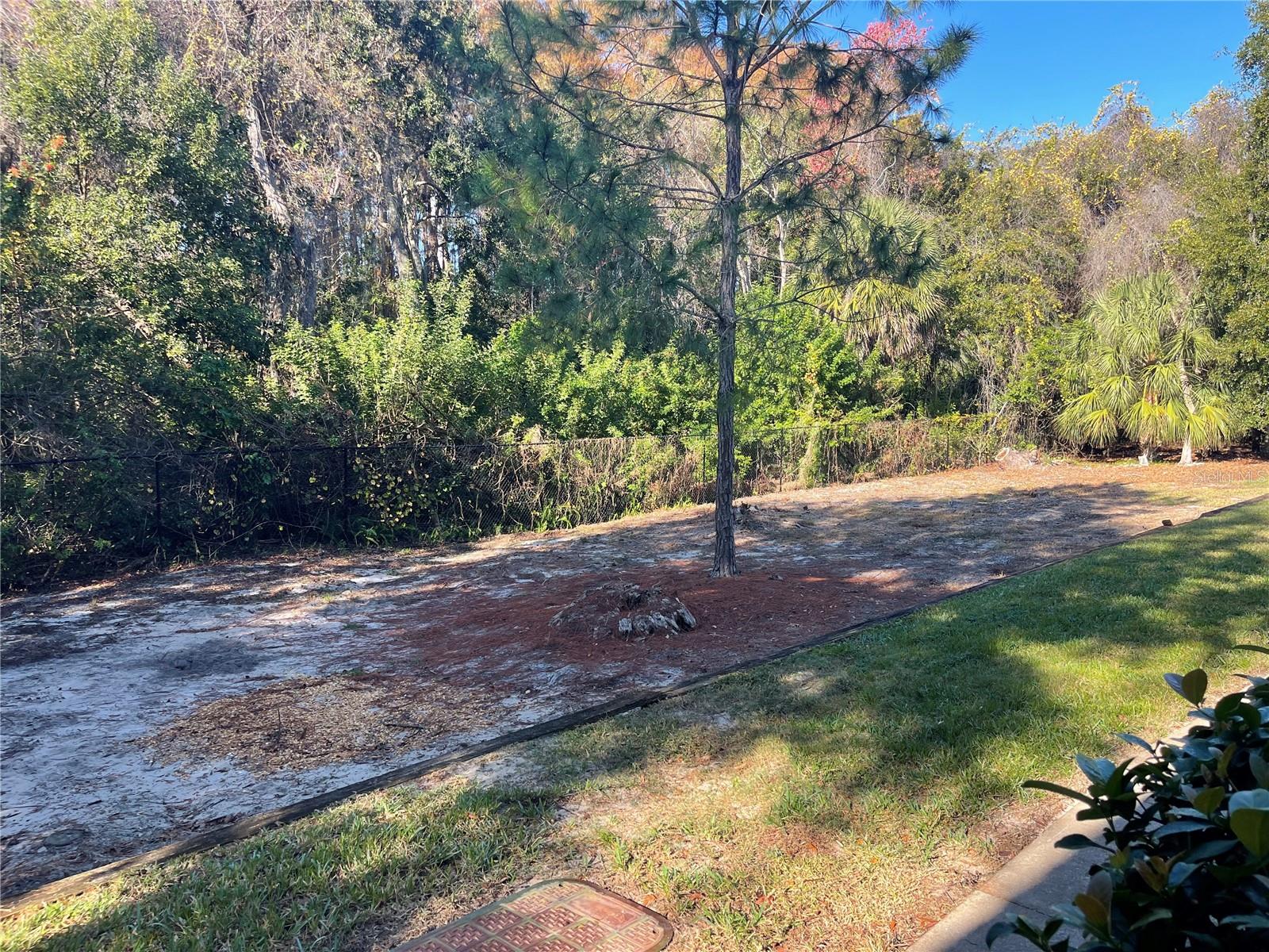 VIEW FROM FRONT DOOR