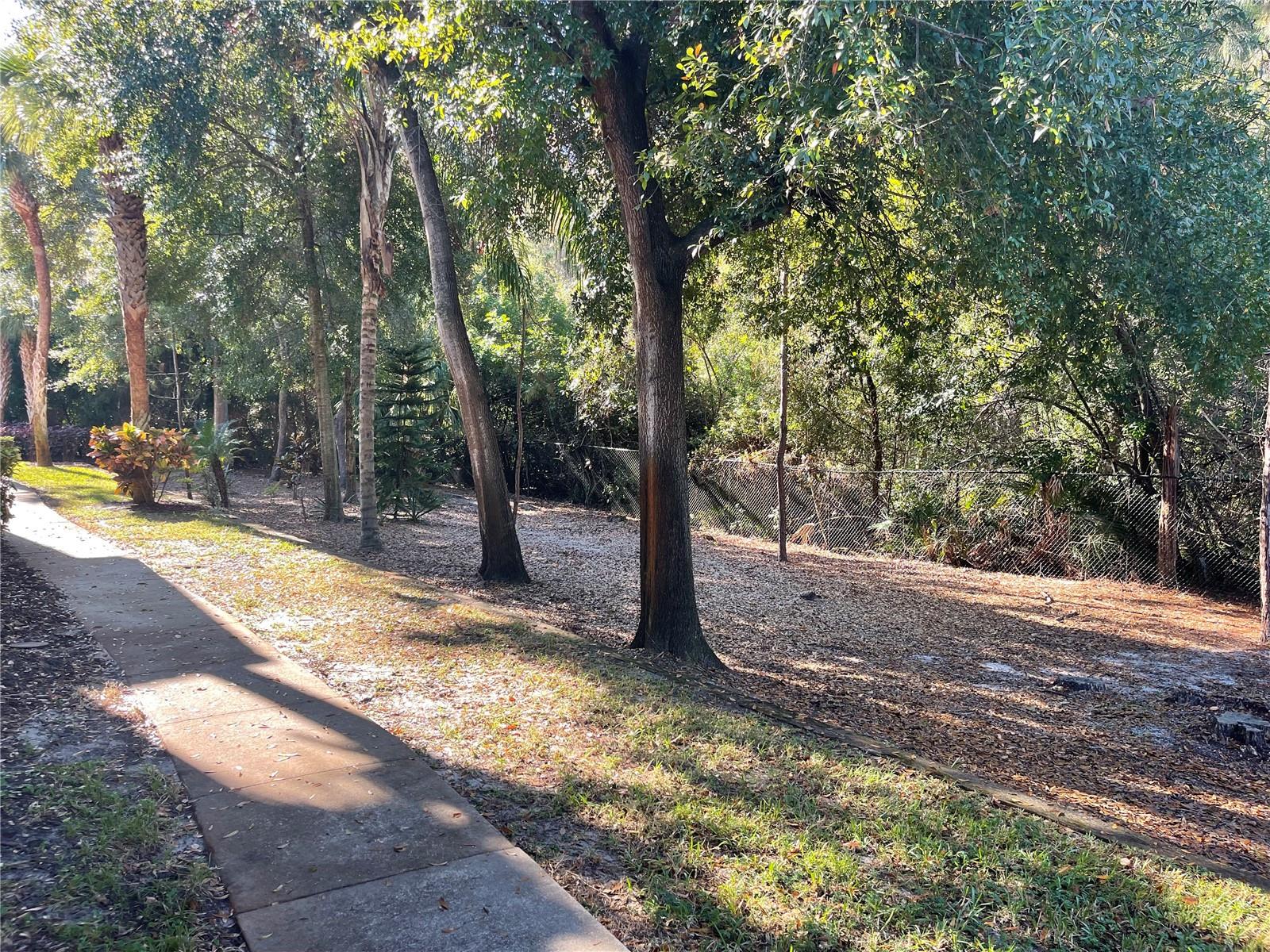 VIEW FROM THE FRONT DOOR