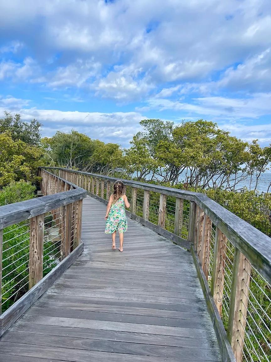 Board walk at the Safety Harbor Waterfront Park