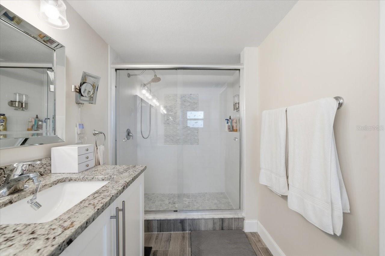 Primary bath, expansive walk in shower with Tessellated tile