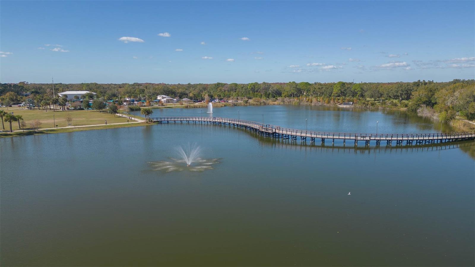 Carrollwood Village Park Walking trail