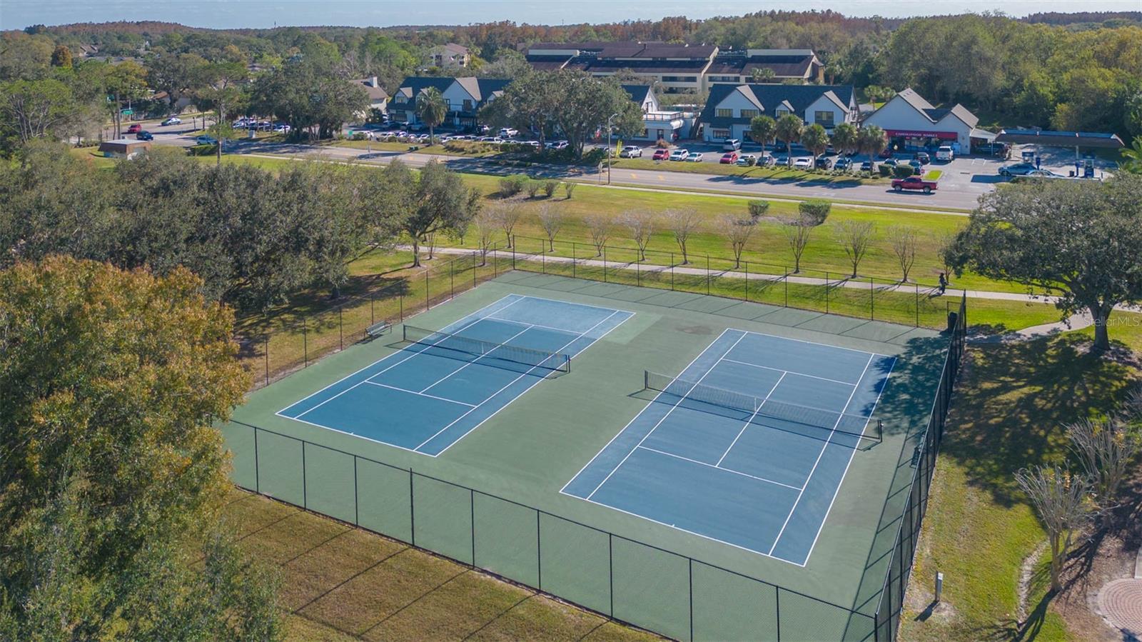 Carrollwood Village Park Tennis Courts and Local Shopping