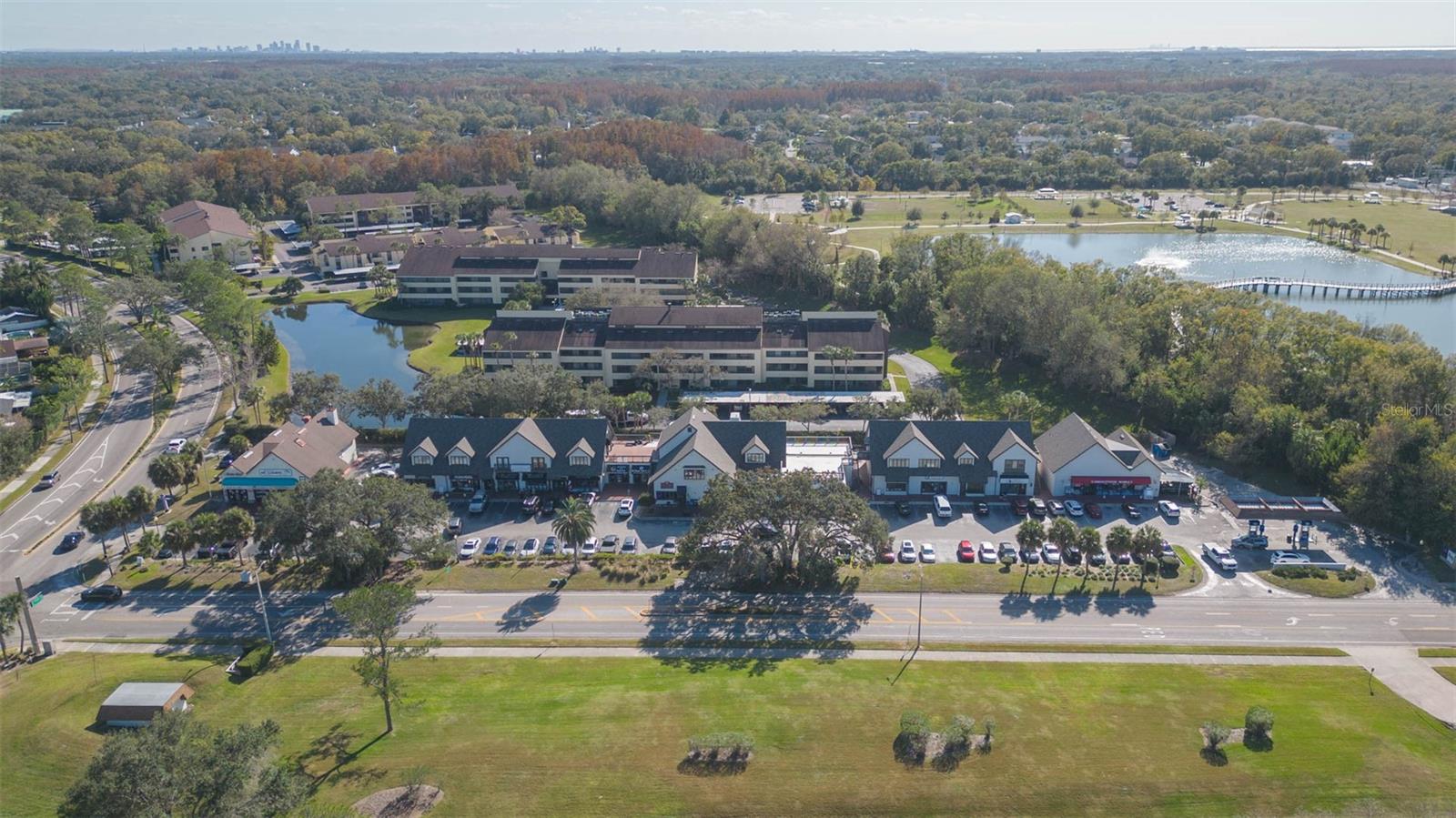 Carrollwood Village Local Shopping