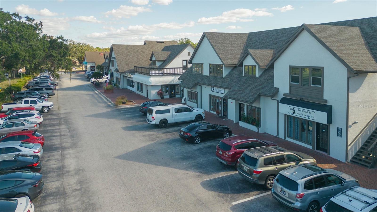 Carrollwood Village Local Shopping (Cafe, Bagel Shop, Pizza shop, Vet, Barbershop, Dry cleaner, Gas station, etc)