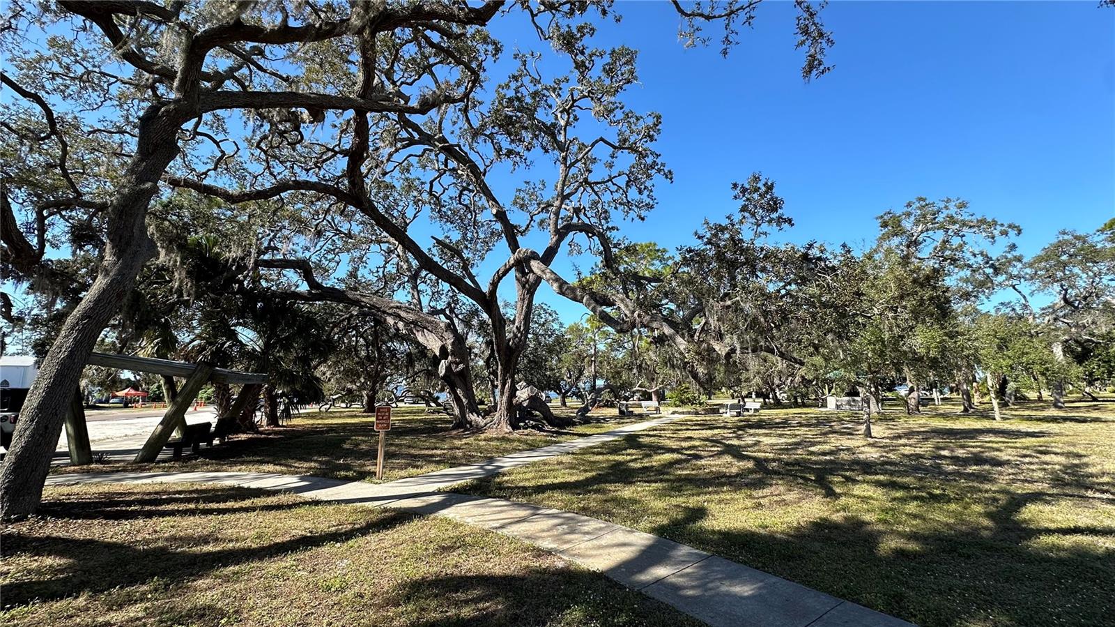 Live Oak Park - Large trees, benches, a gazebo, and a Tiny Library box. A greta place for relaxing and taking your dog for a walk