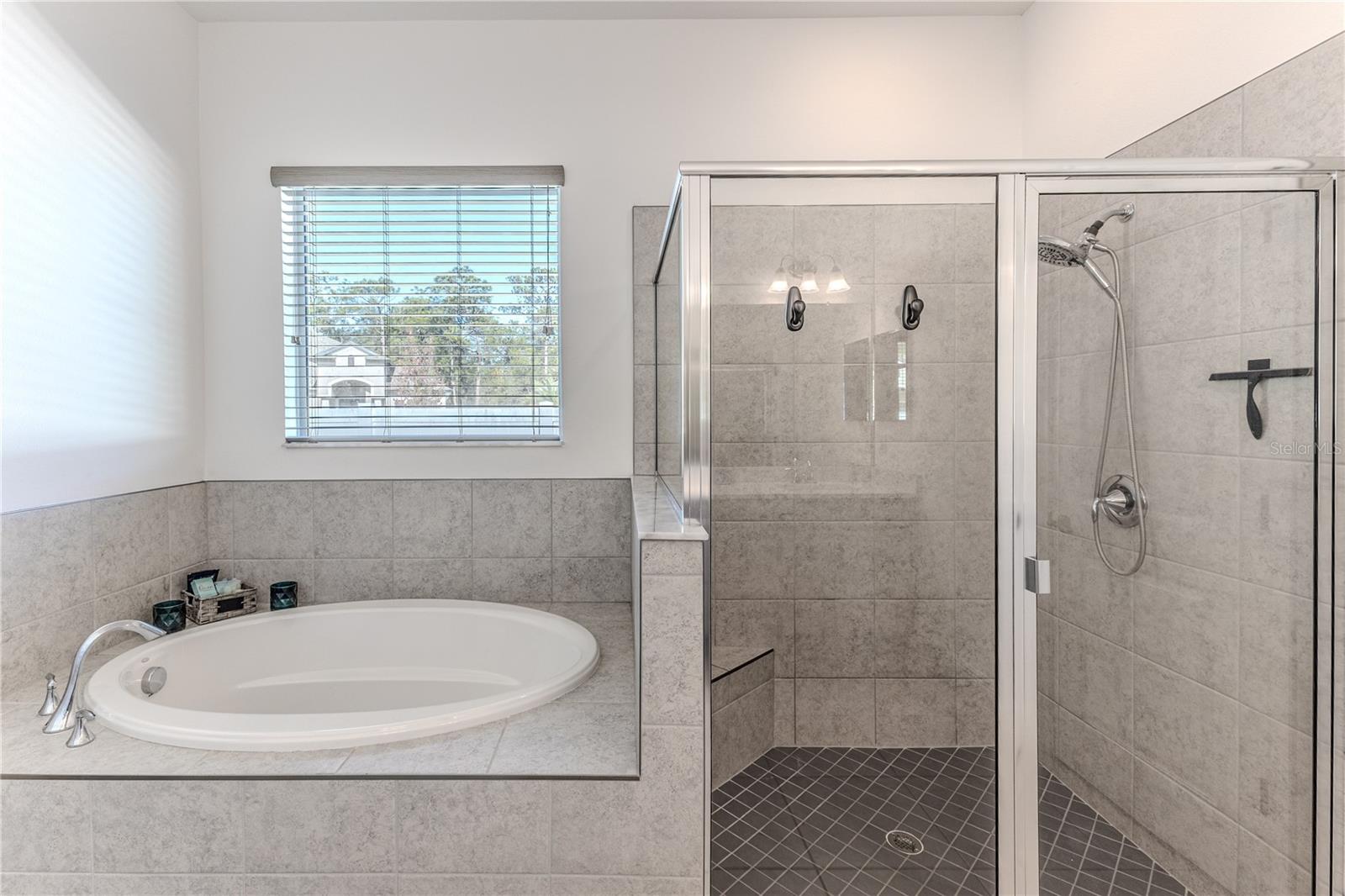 Roman Tub & Walk In Shower with Seat