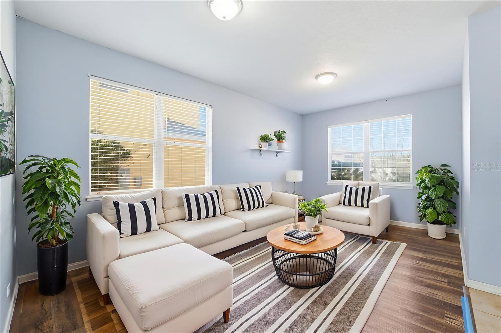 Living(Virtually Staged)