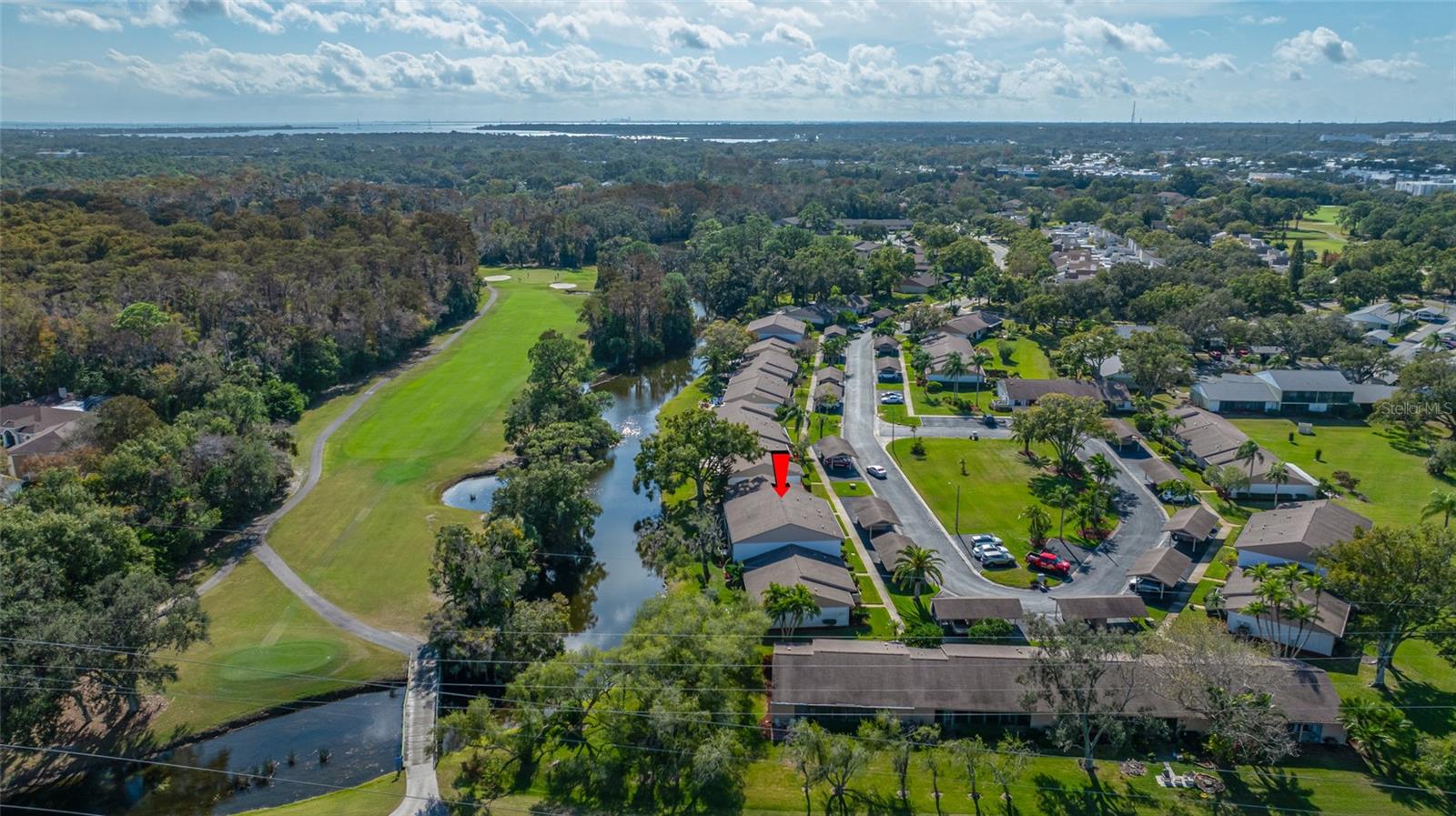 140 MICHAELS CIR OLDSMAR, FL 34677 - Looking South