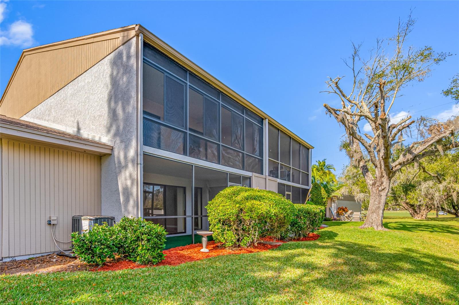 140 MICHAELS CIR OLDSMAR, FL 34677 - Looking South