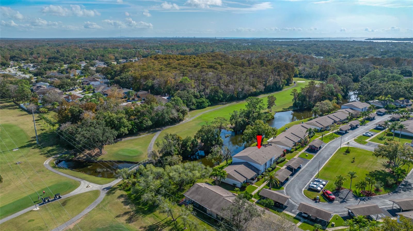 140 MICHAELS CIR OLDSMAR, FL 34677 - Looking South East