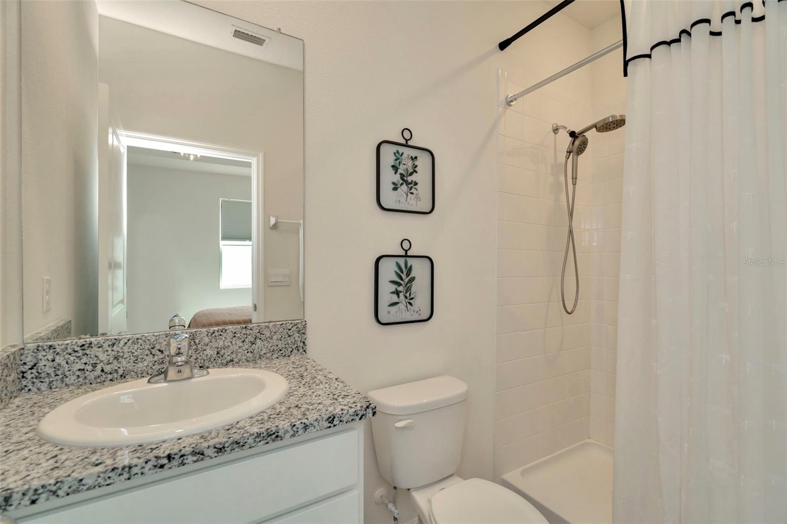 In law suite bath with walk in shower