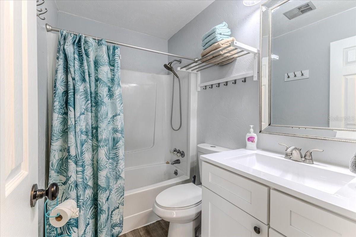 Guest Bathroom Tub / Shower