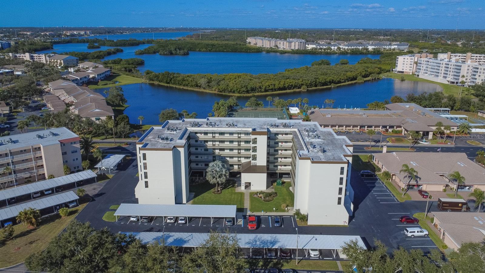 The Palms of Long Bayou!