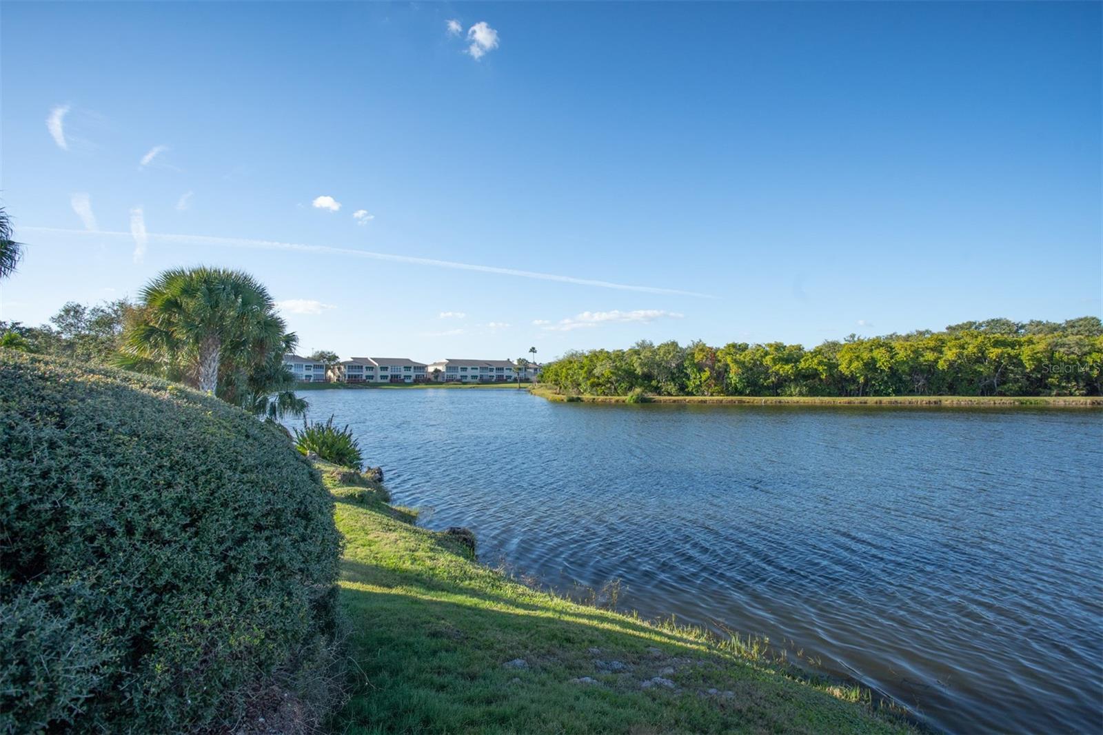 View of Bayou Behind Community Pool!