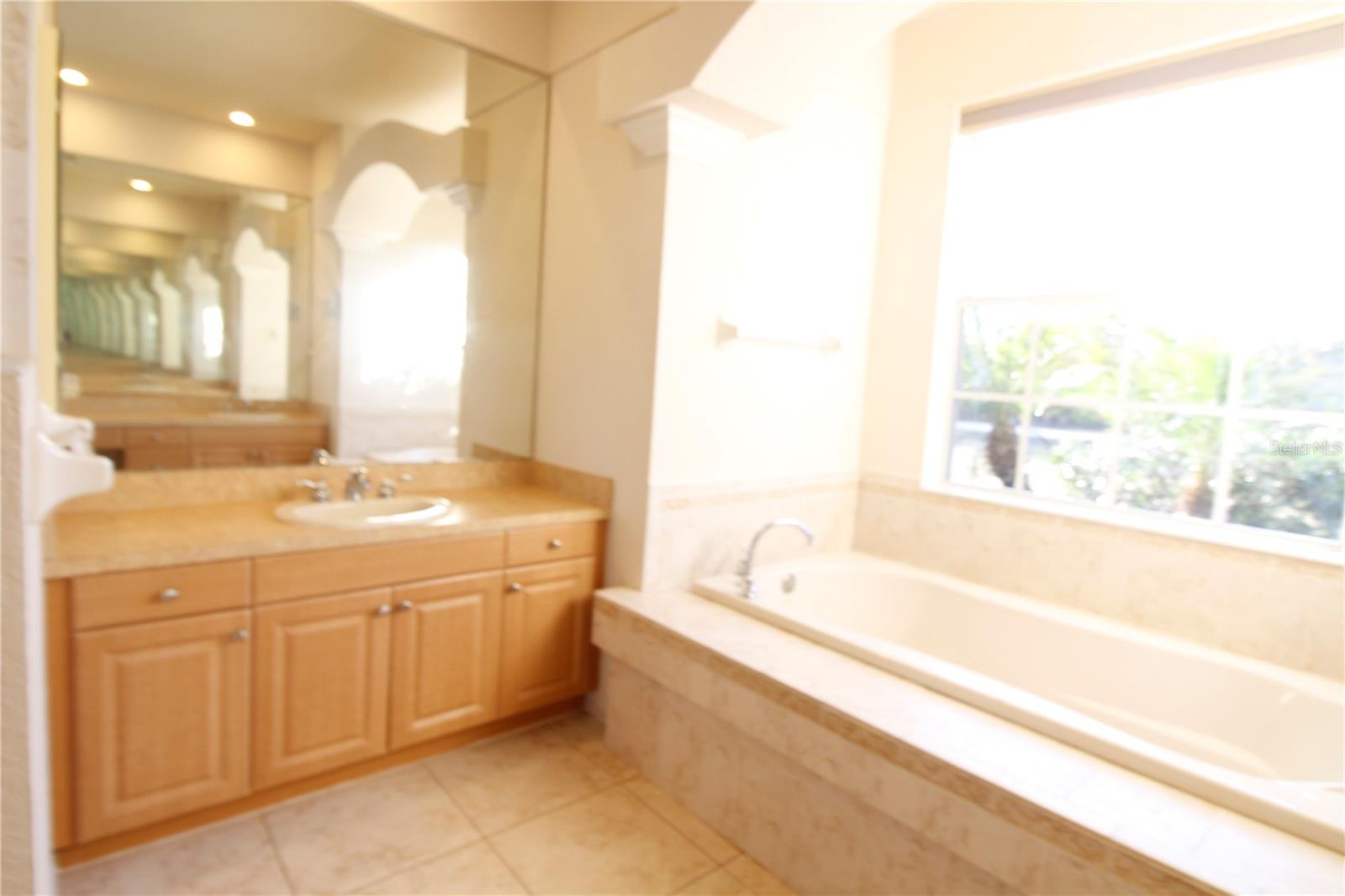 Primary bathroom vanity area 1
