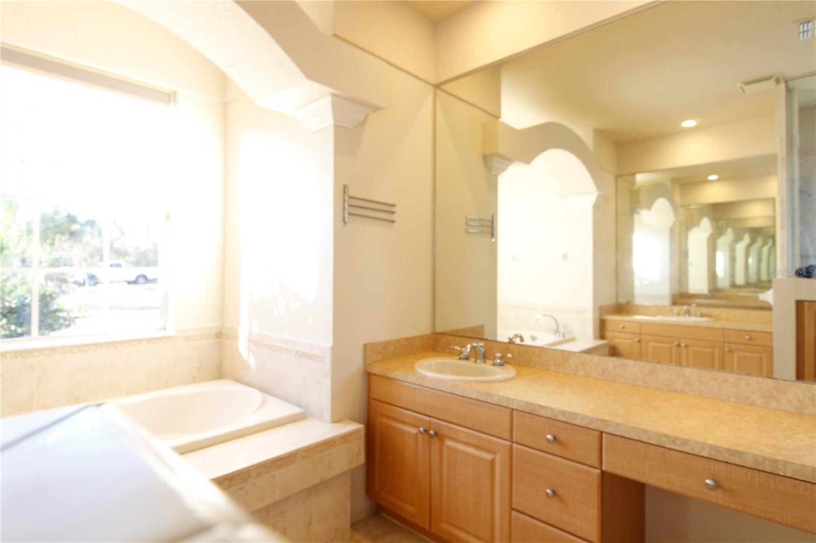 Pimary bath vanity area 2