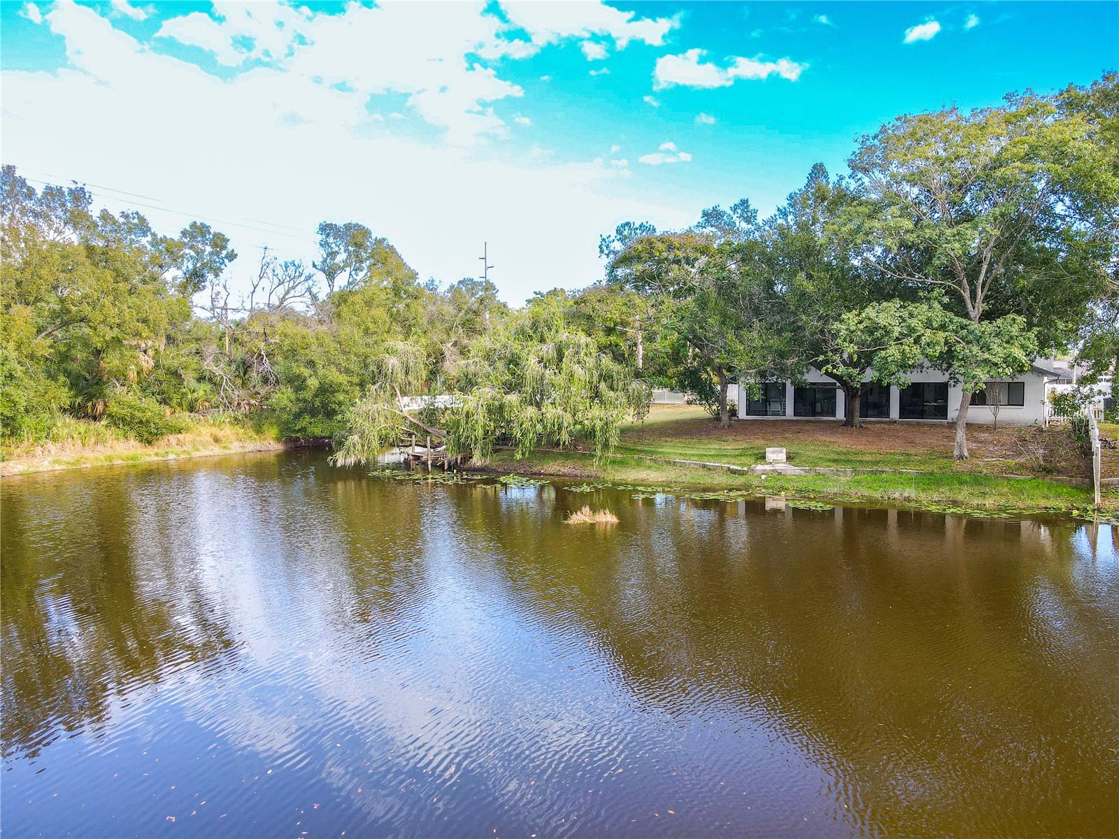 Broader stunning pond-front backyard view showcasing the home nestled under a canopy of mature trees, with a gently sloping lawn to the water’s edge and tranquil lily pads floating along the shoreline.