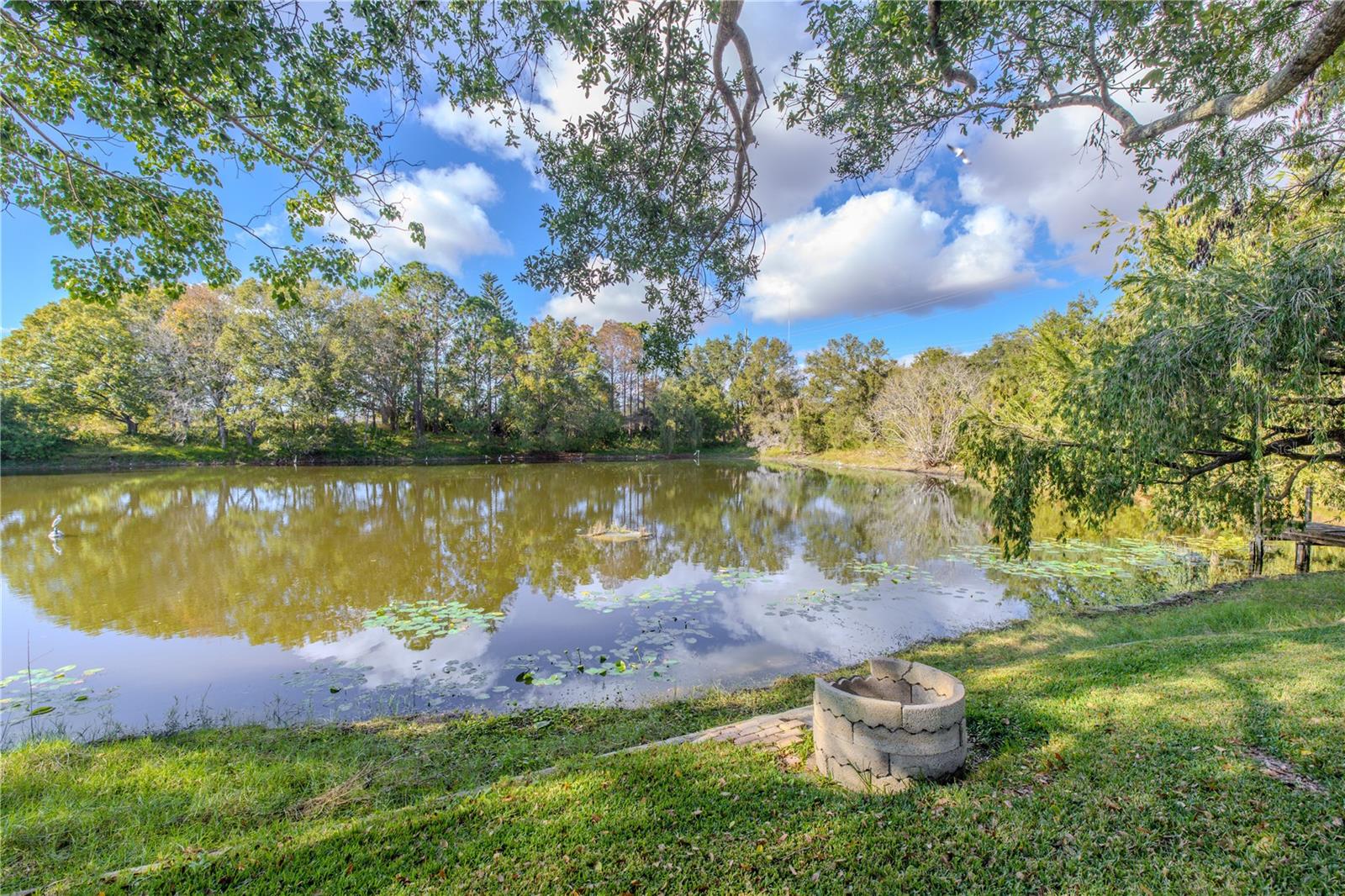 Peaceful pond view included with the property, featuring a shaded grassy shoreline, mature trees, and tranquil water reflecting the open sky.