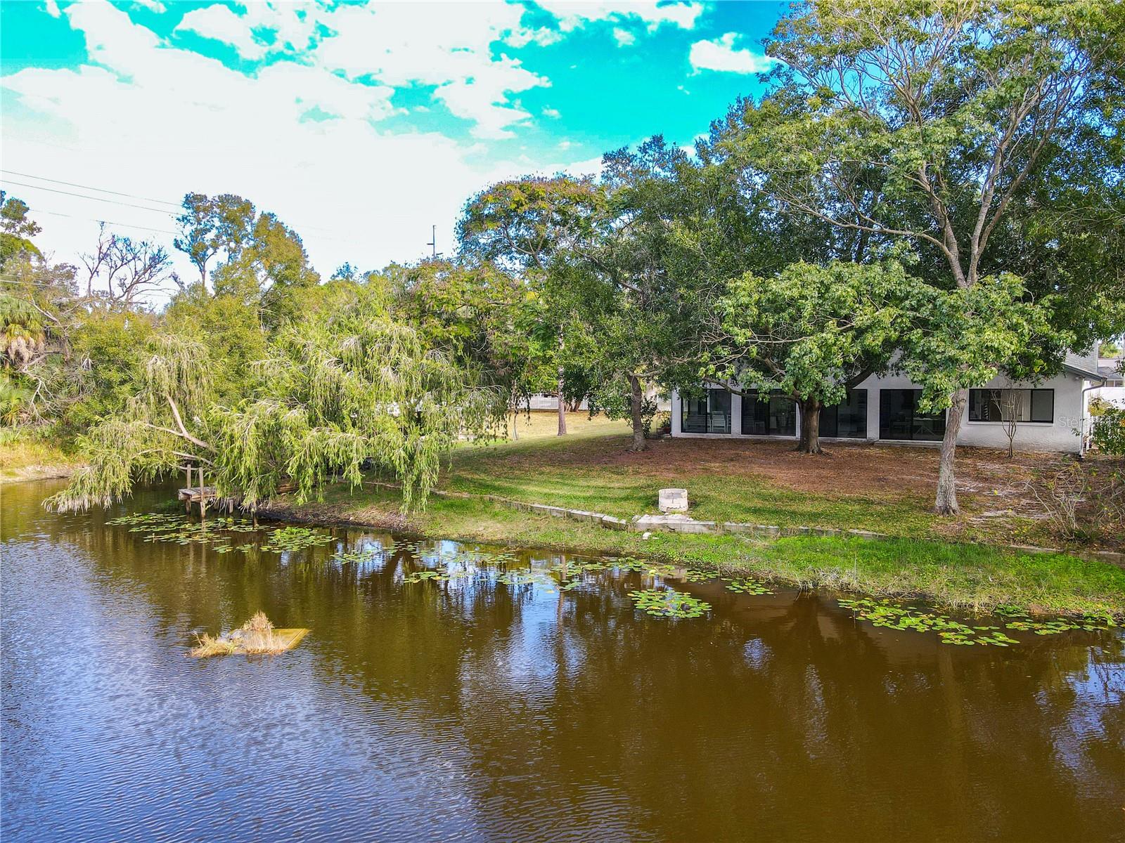 Stunning pond-front backyard view showcasing the home nestled under a canopy of mature trees, with a gently sloping lawn to the water’s edge and tranquil lily pads floating along the shoreline.
